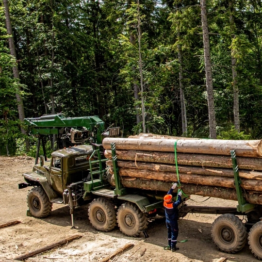 Лесной транспорт